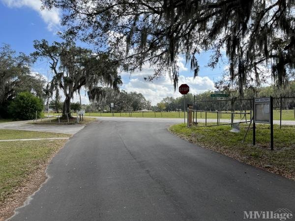 Photo of Scenic View Mobile Home Court, Lakeland FL