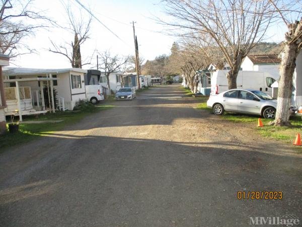 Photo of The Oasis Mobile Home Park & Campground, Clearlake Oaks CA