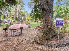 Photo 5 of 16 of park located at 203 Sunset Drive Lake Alfred, FL 33850