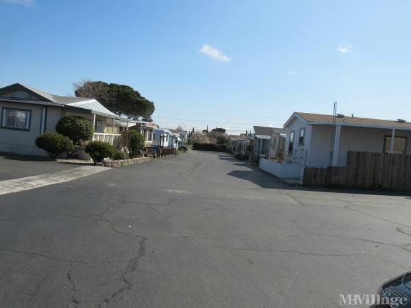 Photo of Club Marina Mobile Home Park, Bay Point CA
