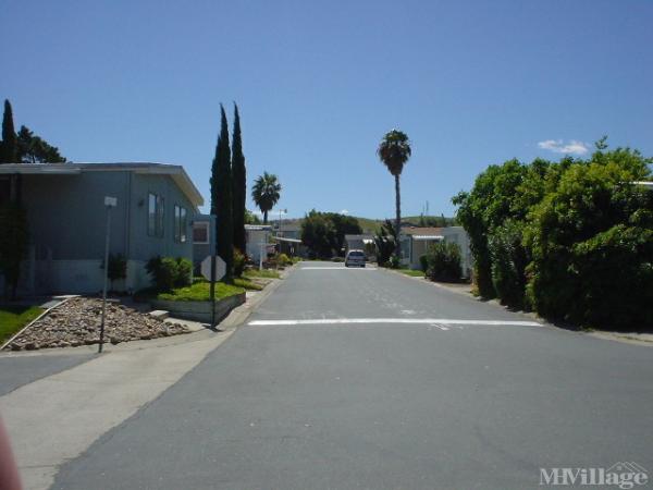 Photo of Mariner's Cove, Bay Point CA