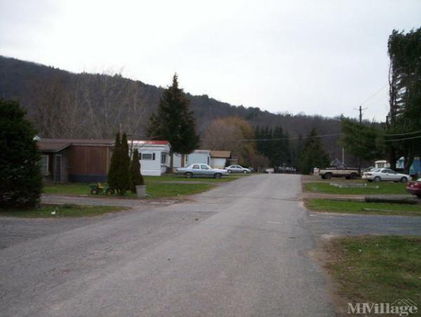 Photo 0 of 2 of park located at 14672 Main Street Prattsville, NY 12468