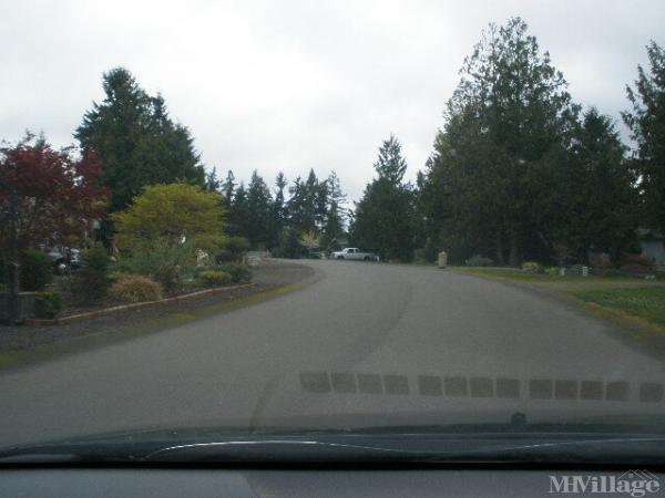 Photo of Port Hadlock Heights, Port Hadlock WA