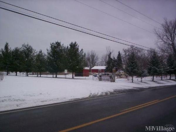 Photo of Kyte Road Mobile Home Park, Shortsville NY