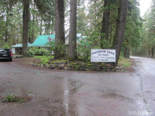 Photo 0 of 2 of park located at 54655 Mckenzie River Dr Blue River, OR 97413