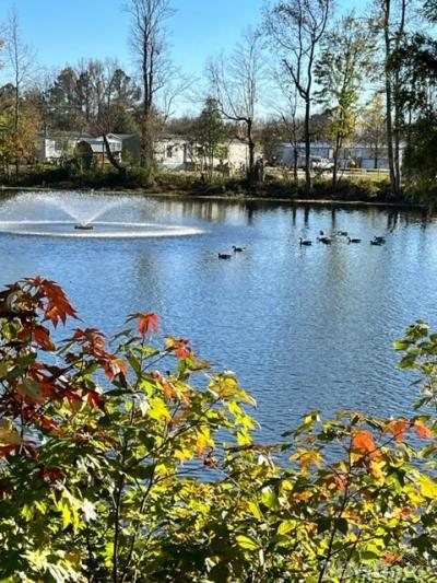 Photo 3 of 13 of park located at 100 Clyde's Lane Windsor, VA 23487