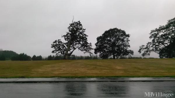 Photo of Oaks Mobile Home Park, Friday Harbor WA