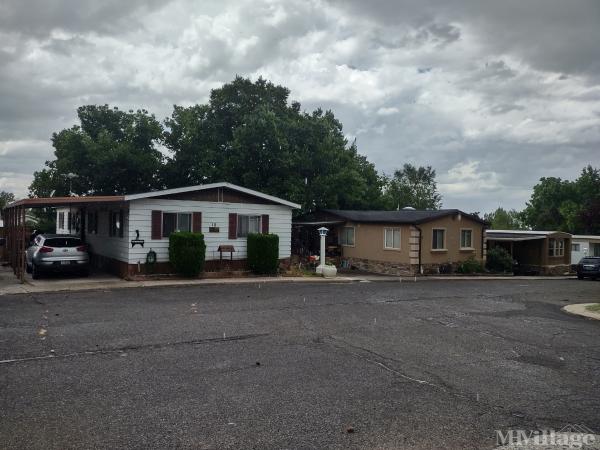 Photo of South Springville Terrace, Springville UT