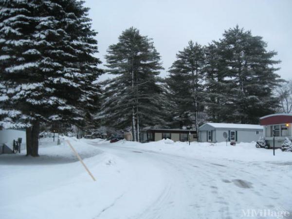 Photo of Nottingham Forest, Gaylord MI