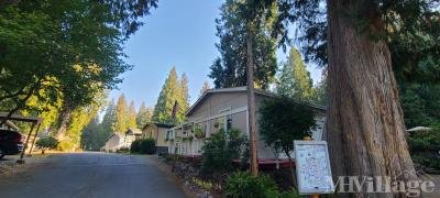 Mobile Home Park in Issaquah WA