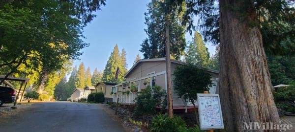 Photo of Tiger Mountain Mobile Home Park, Issaquah WA