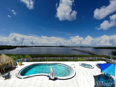 Photo 3 of 22 of park