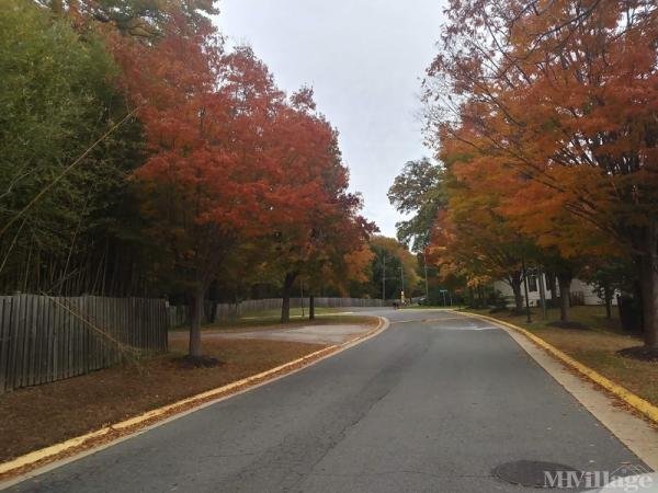 Photo of Woodley Hills, Alexandria VA