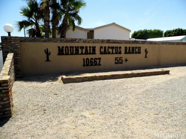 Photo of Mountain Cactus Ranch, Yuma AZ