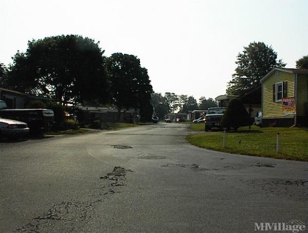 Photo of Palm City Park, Annville PA