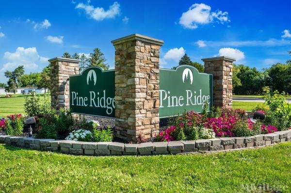 Photo of Pine Ridge, Linden MI