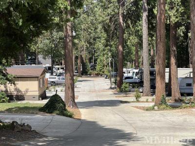Photo 2 of 5 of park located at 6421 Pony Express Trl Pollock Pines, CA 95726
