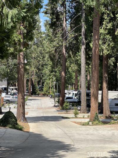 Photo 3 of 5 of park located at 6421 Pony Express Trl Pollock Pines, CA 95726