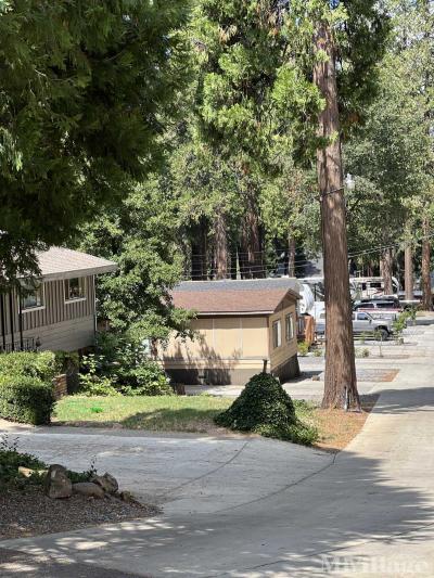 Photo 4 of 5 of park located at 6421 Pony Express Trl Pollock Pines, CA 95726