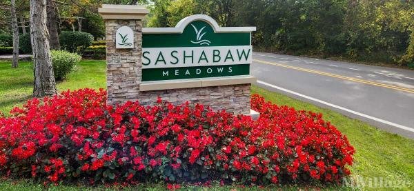 Photo of Sashabaw Meadows, Clarkston MI
