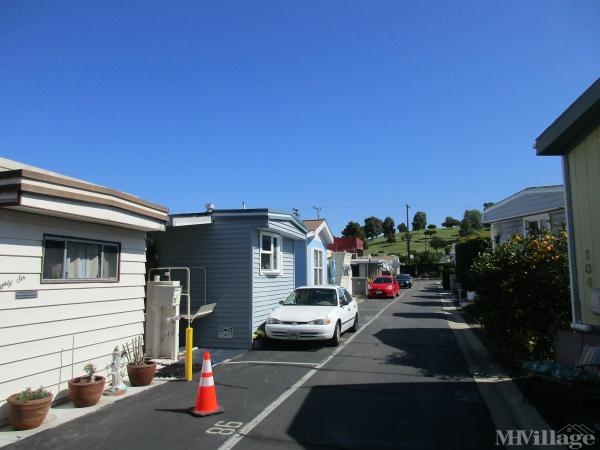 Photo of Culver City Terrace, Culver City CA