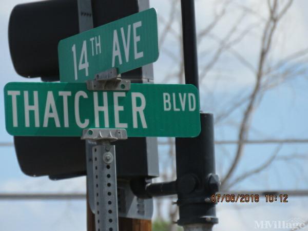 Photo of Lexington Pines, Safford AZ
