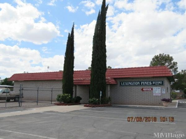 Photo of Lexington Pines, Safford AZ