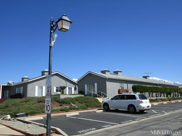 Photo of The Colony, Calimesa CA