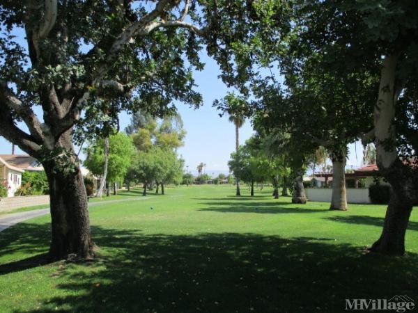 Photo 0 of 2 of park located at 73-450 Country Club Dr Palm Desert, CA 92260