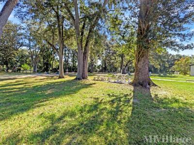 Photo 4 of 16 of park located at 10620 SW 27th Avenue Ocala, FL 34476