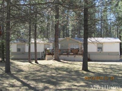 Mobile Home Park in Loon Lake WA