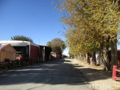 Mobile Home Park in Rosamond CA