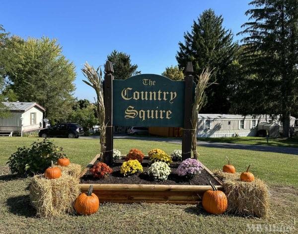 Photo of Country Squire , Morgantown WV