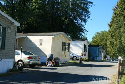 Photo 3 of 226 of park located at 5002 Route 309 Center Valley, PA 18034