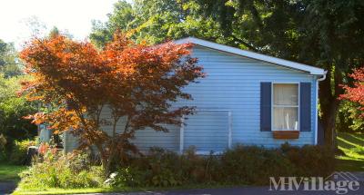 Photo 5 of 226 of park located at 5002 Route 309 Center Valley, PA 18034