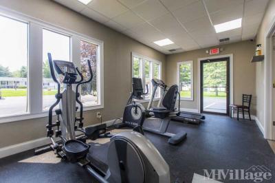 Photo 3 of 8 of park