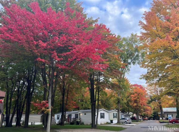 Photo of White Birch Estates, Kawkawlin MI