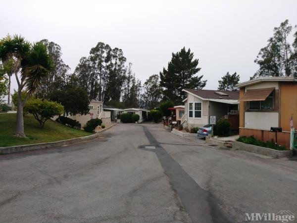 Photo of Summerhill Mobile Home Park, Salinas CA