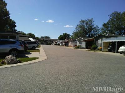 Mobile Home Park in Loveland CO