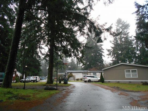 Photo 0 of 2 of park located at 8817 225th Street East Graham, WA 98338