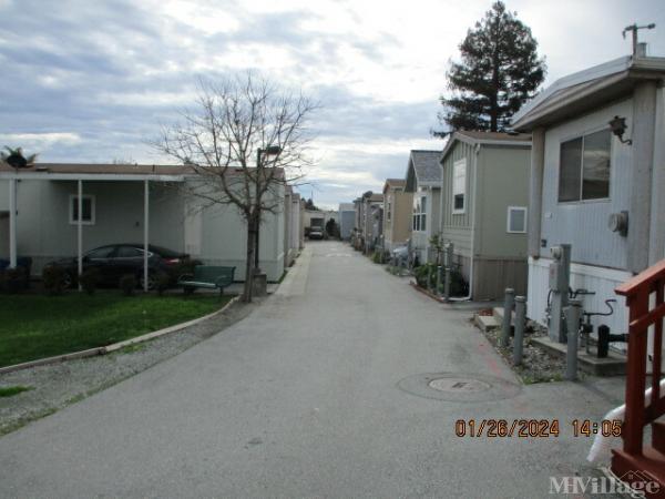 Photo 0 of 2 of park located at 1730 Commercial Way Santa Cruz, CA 95065