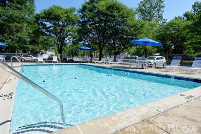 Photo 3 of 14 of park