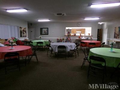 Photo 3 of 6 of park