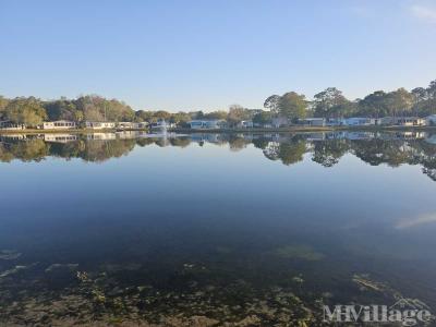 Mobile Home Park in Spring Hill FL