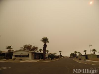 Mobile Home Park in Yuma AZ