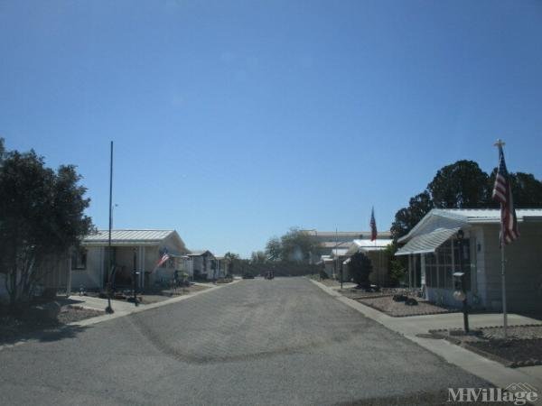 Photo of Saguaro Estates, Mesa AZ