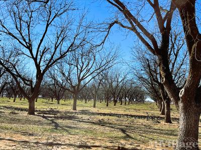 Photo 4 of 6 of park located at 8008 34th St Lubbock, TX 79407