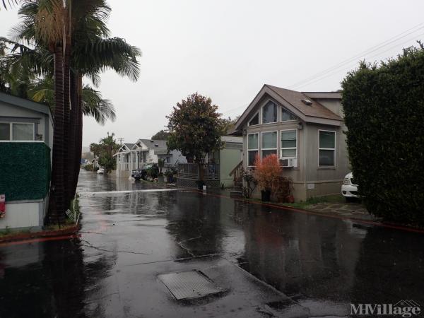 Photo 1 of 1 of park located at 34052 Doheny Park Road Dana Point, CA 92624