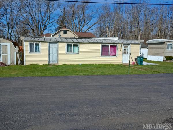 Photo of Lowman's Mobile Home Village LLC, Niagara Falls NY