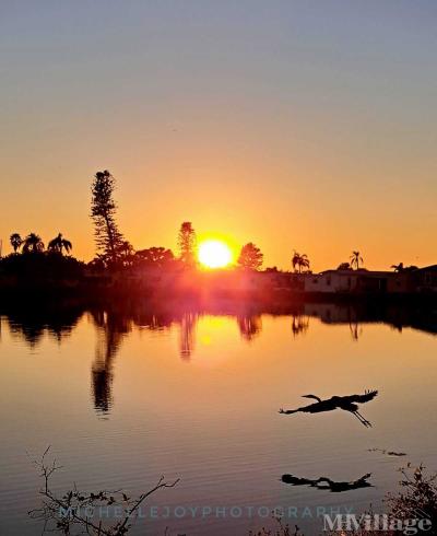 Photo 3 of 14 of park located at 1734 Wheelhouse Circle Ruskin, FL 33570